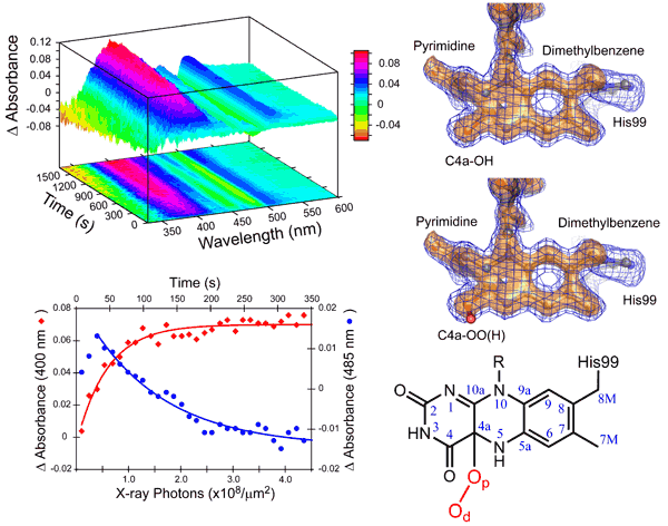 Two complementary types of data collected from the same crystal